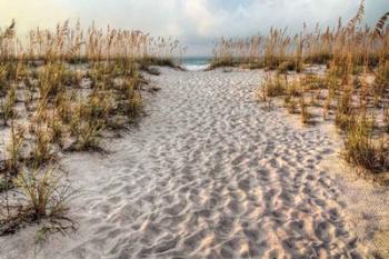 Path To The Beach | Obraz na stenu