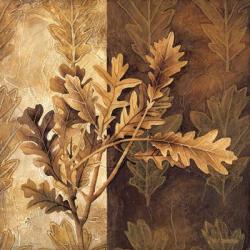 Leaf Patterns I | Obraz na stenu