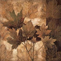 Leaf Patterns II | Obraz na stenu