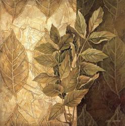 Leaf Patterns IV | Obraz na stenu