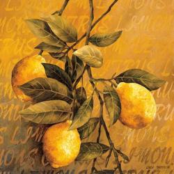 Lemon Branch | Obraz na stenu