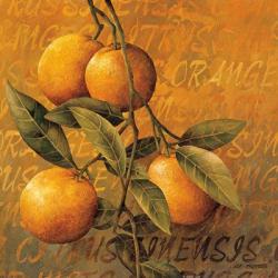 Orange Branch | Obraz na stenu