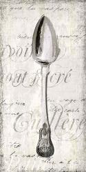 Decoative Spoon | Obraz na stenu