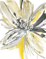 A Sunny Bloom | Obraz na stenu