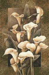 Golden Calla Lilies | Obraz na stenu