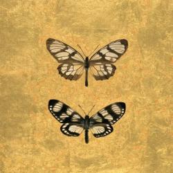 Pair of Butterflies on Gold | Obraz na stenu