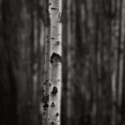 Equilibrium | Obraz na stenu