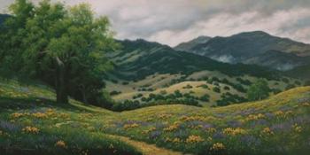 Spring in Carmel Valley | Obraz na stenu