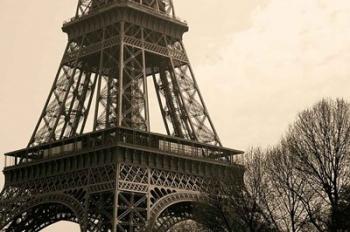 La Belle Eiffel | Obraz na stenu