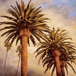 Fog Over Canary Palms | Obraz na stenu