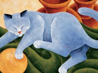 Cats & Pots | Obraz na stenu