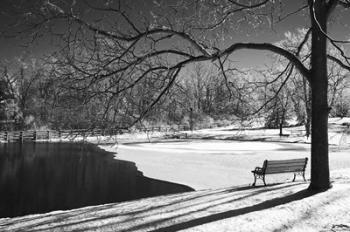 Heritage Pond In Winter | Obraz na stenu