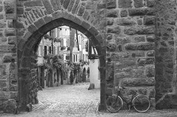 Bicycle of Riquewihr | Obraz na stenu