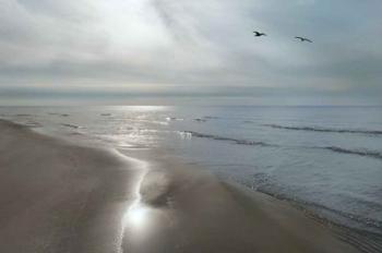 Beach Flight | Obraz na stenu