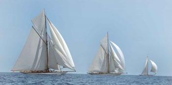 Three Sails | Obraz na stenu