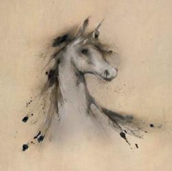 Horse Play I | Obraz na stenu