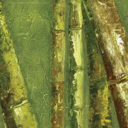 Bamboo Columbia I | Obraz na stenu