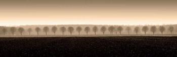 Dappled Morning Fields | Obraz na stenu