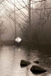 Silvered Morning Pond | Obraz na stenu