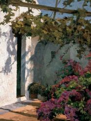 Bougainvillea and Vine | Obraz na stenu