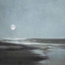 Moonlit Beach | Obraz na stenu