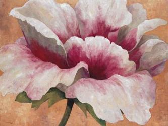 Pink Begonia | Obraz na stenu