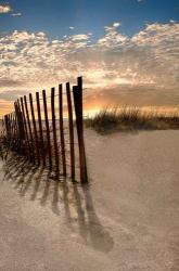 Dune Fence At Sunrise | Obraz na stenu