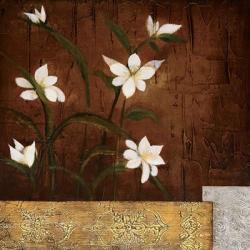 Orchid Melody II | Obraz na stenu
