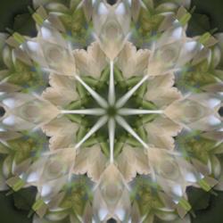 Colorful Kaleidoscope 5 | Obraz na stenu