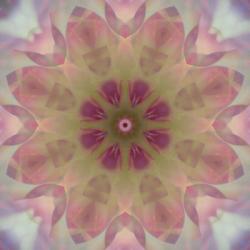 Colorful Kaleidoscope 8 | Obraz na stenu