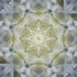 Colorful Kaleidoscope 15 | Obraz na stenu