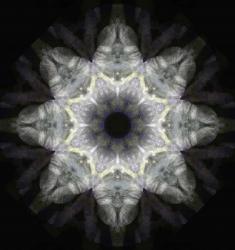 Colorful Kaleidoscope 18 | Obraz na stenu