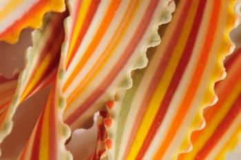 USA. Close-up of dried rainbow pasta noodles | Obraz na stenu