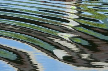 Green Trees Reflected in River with Ripples on the Water | Obraz na stenu