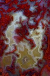 Red Moss Agate Slab | Obraz na stenu