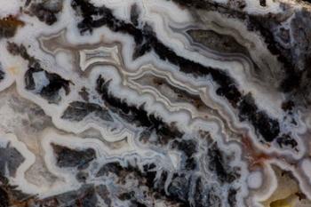 Jasper Agate Mixed slab | Obraz na stenu