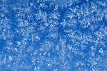 Pattern of Winter Frost on Glass | Obraz na stenu