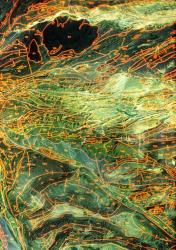 Geological map, Museum of Natural Science, Texas | Obraz na stenu