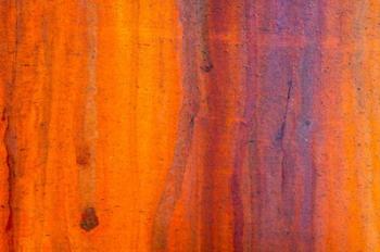 Details Of Rust And Paint On Metal 5 | Obraz na stenu