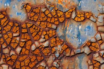 Details Of Rust And Paint On Metal 25 | Obraz na stenu