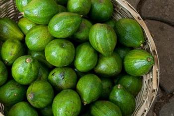 Benin, Ouidah, Produce Market Avocados | Obraz na stenu