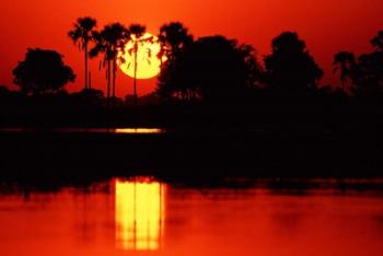 Tropical Sunset in North Central Botswana | Obraz na stenu