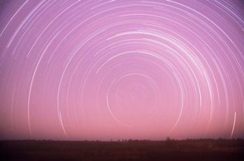 Africa, Botswana, Linyanti Swamps. Star trails | Obraz na stenu