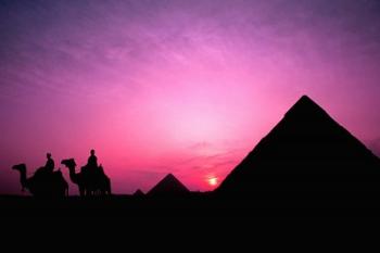Colorful Sunset Silhouetting Men and Camels at the Great Pyramids of Giza, Egypt | Obraz na stenu