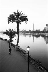 View of the Nile River, Cairo, Egypt | Obraz na stenu