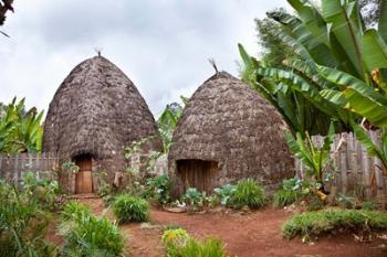 Dorze in the Guge Mountains, Ethiopia | Obraz na stenu