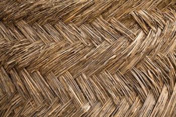 West Africa, Ghana, Yendi. Woven thatch. | Obraz na stenu