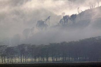 Mist rising from escarpment, Lake Nakuru National Park, Kenya | Obraz na stenu