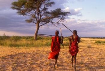 Two Maasai Morans Walking with Spears at Sunset, Amboseli National Park, Kenya | Obraz na stenu
