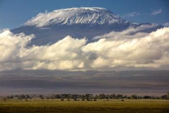 Amboseli National Park, Kenya | Obraz na stenu